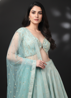 Misty Green Banarasi Lehenga Set with Net Embellished Dupatta